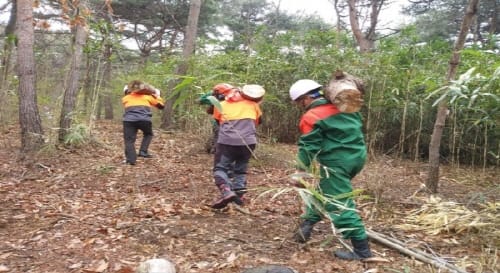 462억 투입, 산림분야 일자리 2533개 만든다