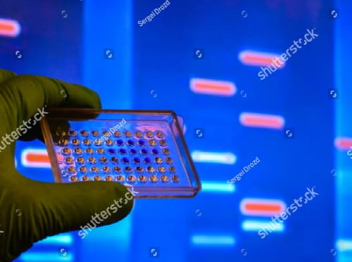 미래 新성장동력 ‘마이크로바이옴산업’ 집중 육성