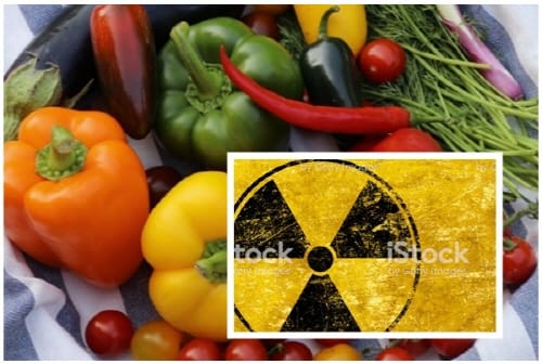 충남도, 학교 급식 식재료 방사능 검사한다