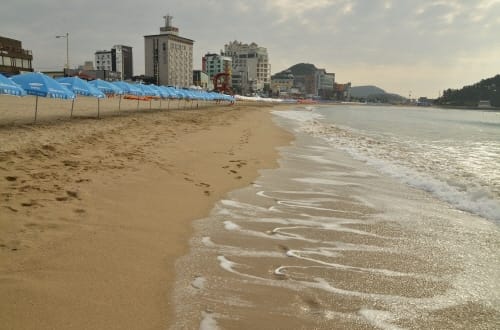충남, 모든 해수욕장 수질 ‘안전’