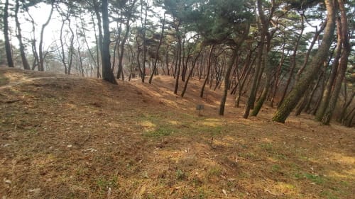 ‘백제왕도 핵심유적 부여 나성 비밀 밝힌다’