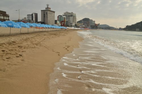 23시 0시부터 충남도내 해수욕장 긴급 폐장