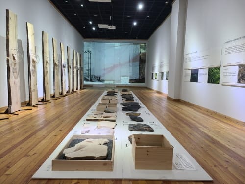 “한반도의 태곳적 역사와 신비 만난다”