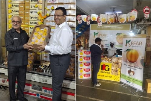 농식품 수출 사상 첫 5억 달러 돌파