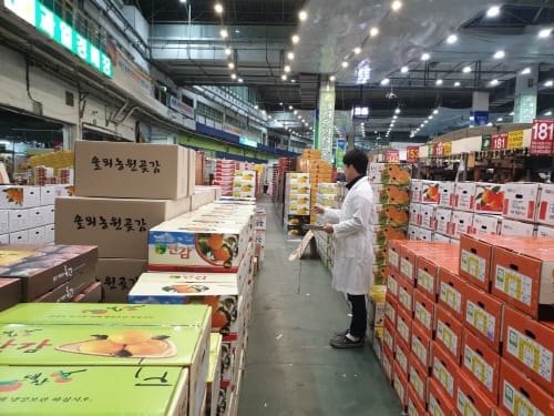 ‘설 대비 농수산물 안전성 검사 강화한다’