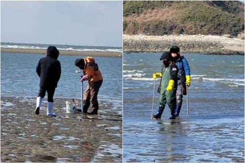 불법 도구 사용한 개불잡이 특별 단속