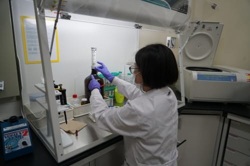 ‘농산물 잔류농약 분석능력’ 국제적 공인 받아