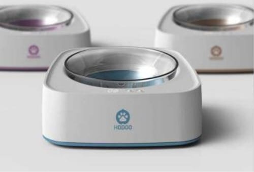 창업기업 브랜드 품격 ‘업그레이드’ 지원