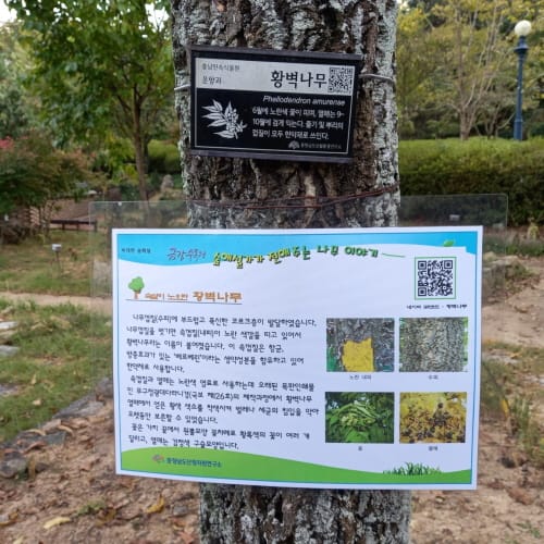 금강수목원 비대면 숲해설 운영