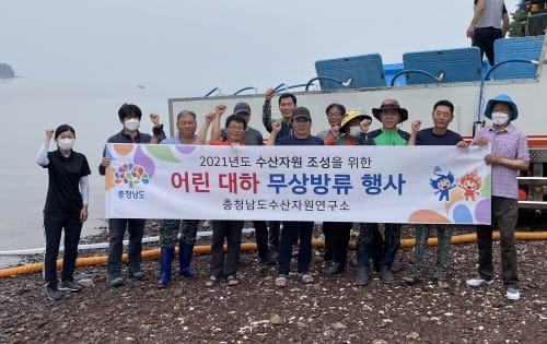 서해연안에 어린 대하 2000만 마리 방류