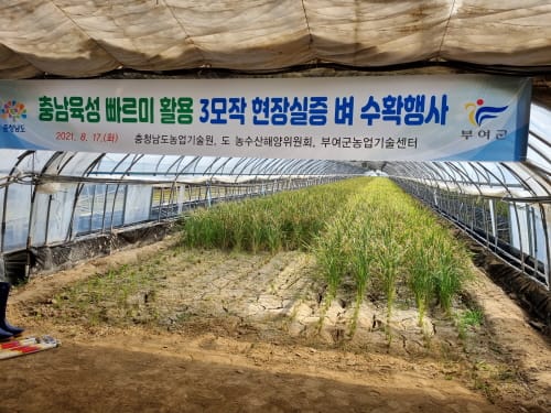 “벼 포함한 3모작 시대 열린다”