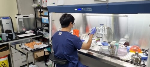 세종에서 생산한 계란, 안전하게 드세요
