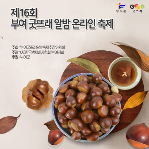 젊은 밤! 멋진 밤! 부여밤 온라인 축제 10일 개최