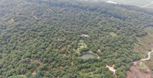 부여군, ‘2022 임산물(밤) 클러스터 구축’ 선정... 총사업비 20억원 확보