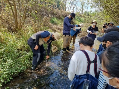 “깨끗한 우리마을 도랑에 어떤 생물이 살까요?”