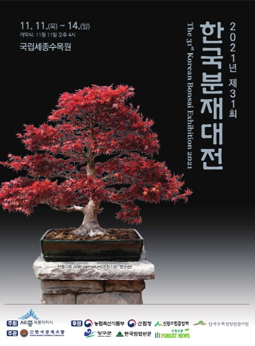 한국분재대전에서 대자연을 만끽하세요