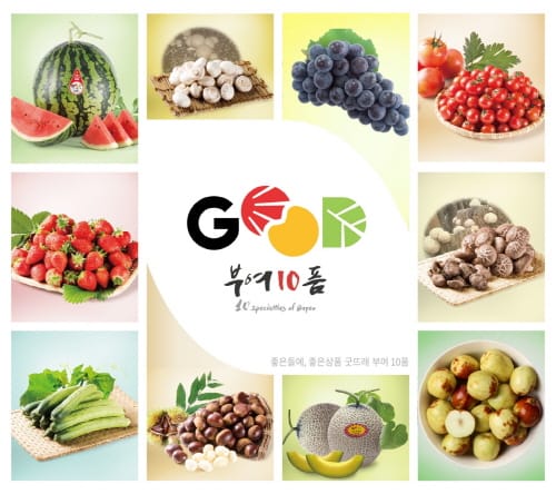 부여, 새로운 부여10품 집중 육성한다