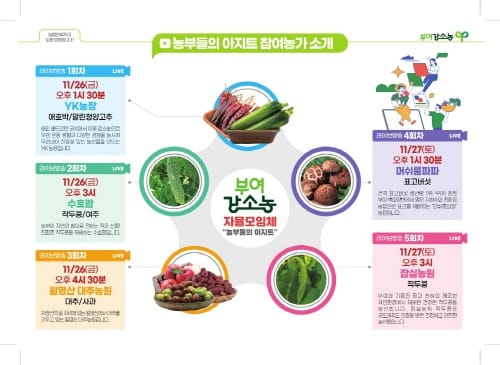 부여군, 라이브커머스로 온라인 판매 확대