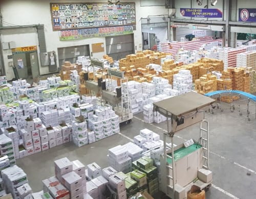 대전보건환경연, 21년 잔류농약 부적합 농산물 6,634kg 폐기조치