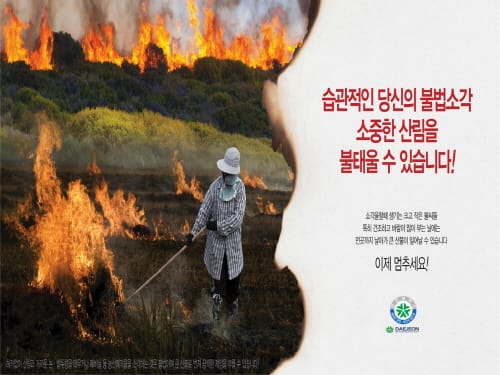 대전시 산불방지 ‘비상대비태세’ 돌입