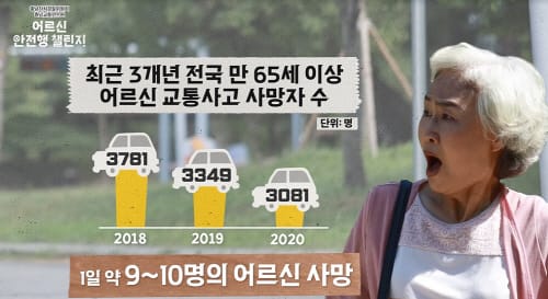 교통사고 사망자 절반 ‘고령층’… 맞춤형 대책 추진