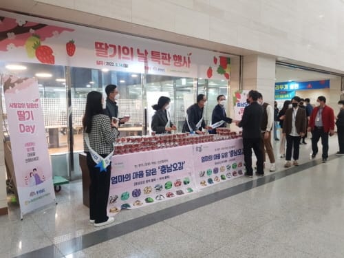 사탕 대신 새콤달콤 ‘충남 딸기’ 선물해요