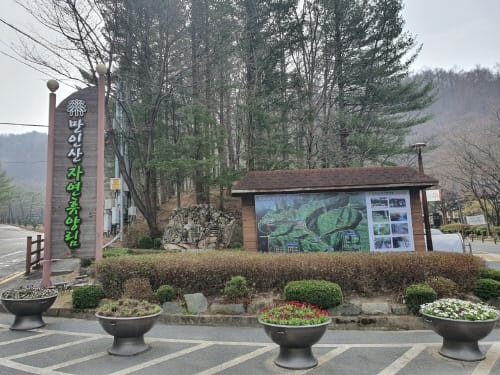 대전시, 만인산 자연휴양림 4월 1일부터 정상운영
