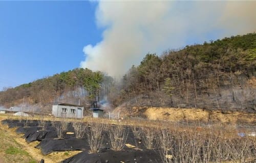<1보> 세종시 연서면 산불발생... 산림당국 진화중