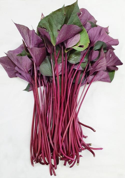 껍질째 먹는 잎자루 전용 고구마 ‘통채루’ 내년 분양