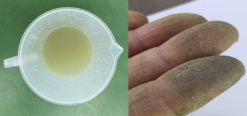 토마토 아실슈가 농약으로 오인하지 마세요