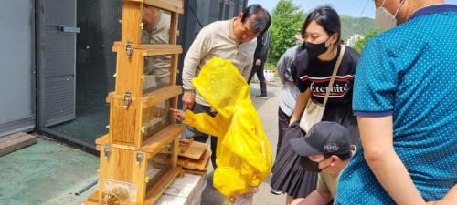 “자연이 선물한 벌꿀, 직접 맛보고 수확해요”