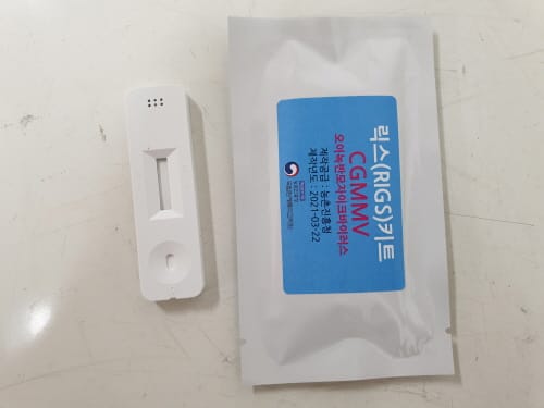 작물 바이러스·세균 진단키트로 신속진단