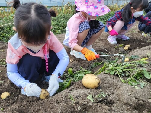 영유아 농촌체험 통해 로컬푸드를 배워요~