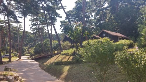 안면도 자연휴양림, 숲속의 집 등 시설 기반 확대