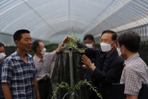 강소농 지원단 합동 컨설팅 추진