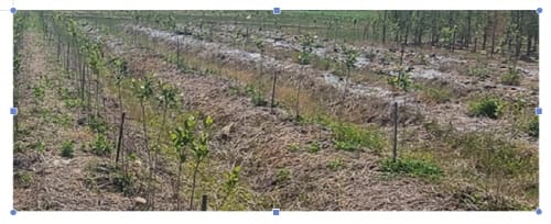 불법행위 적발로 건전한 부동산시장 조성