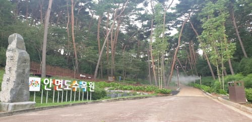 안면도 수목원 무장애 나눔길 조성 ‘박차’