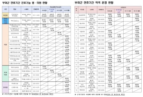 부여군, 추석 연휴기간 응급진료체계 구축