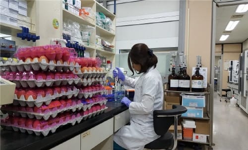 대전보건환경연구원, 유통달걀 안전성 검사로 시민건강 챙긴다