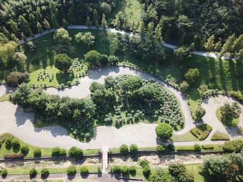 금강수목원, 나라꽃 무궁화 명소로 ‘우뚝’