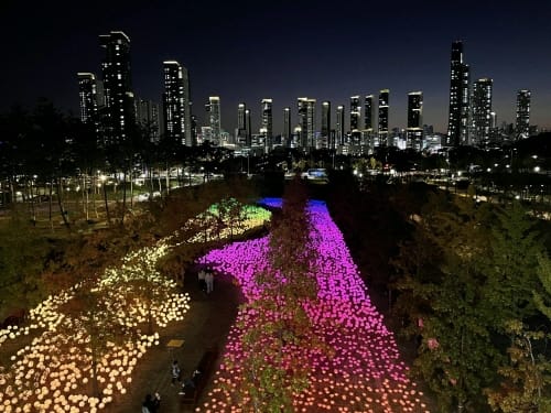 세종에 꽃피운 모두의 정원 43만 명 즐겼다