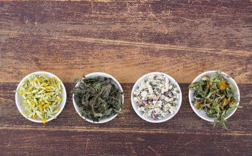 대전한방병원 조충식 교수 초청, 에듀힐링센터 제5회 힐링닥터 콘서트