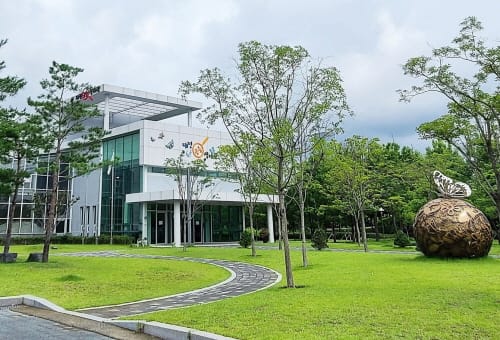 대전곤충생태관, 곤충 체험 프로그램 운영