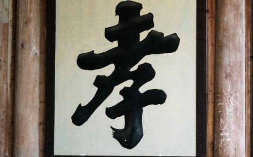 대전교육청, 실천 중심 효교육 추진