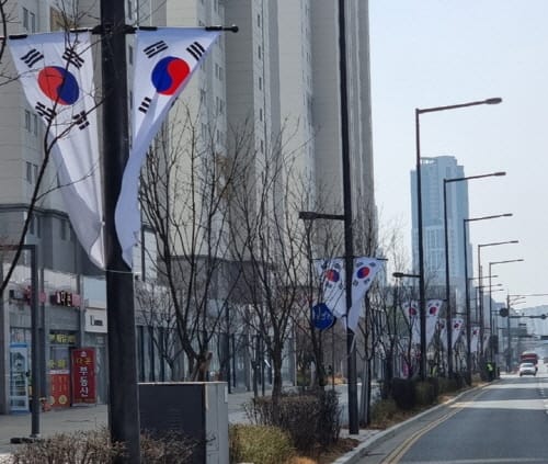 ‘세종시 전역, 태극기 물결로 넘실’