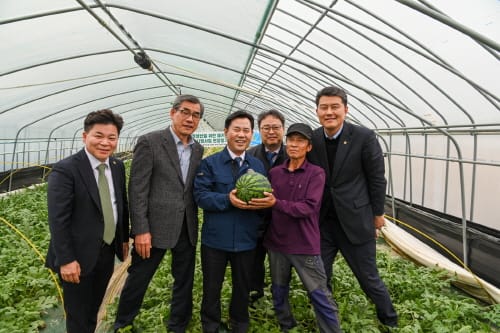 부여군, 고품질 부여수박 충남지역 첫 출하