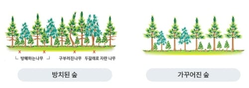 완충녹지 생태환경 개선사업 본격 추진