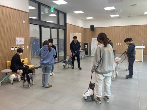 대전반려동물공원, 상반기 반려동물 교육 프로그램 운영 확대
