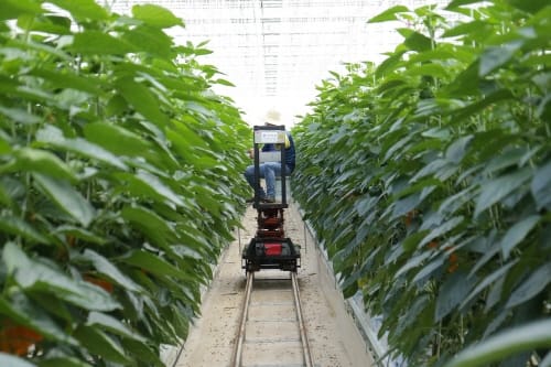 대전 ‘도심 공실 활용 스마트팜 조성’ 추진한다