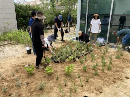 나성동, 시민이 참여하는 힐링 정원 조성